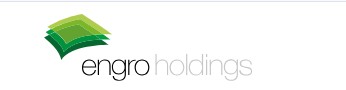 Engro Holdings