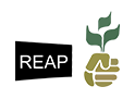 Rice Exporters Association of Pakistan (REAP)