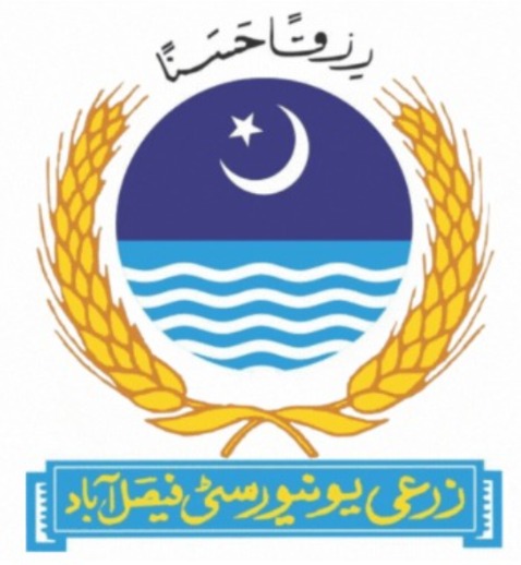University of Agriculture Faisalabad